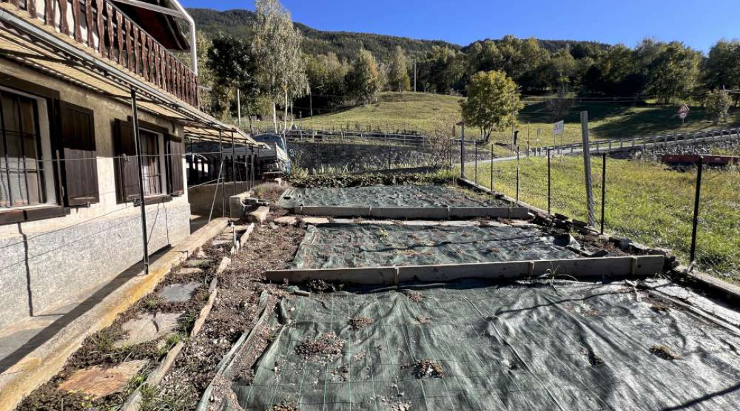 La Poyaz, Aymavilles, 2 Stanze da Letto Stanze da Letto, ,1 BagnoBathrooms,Casa semindipendente,Dintorni di Aosta,La Poyaz,1554